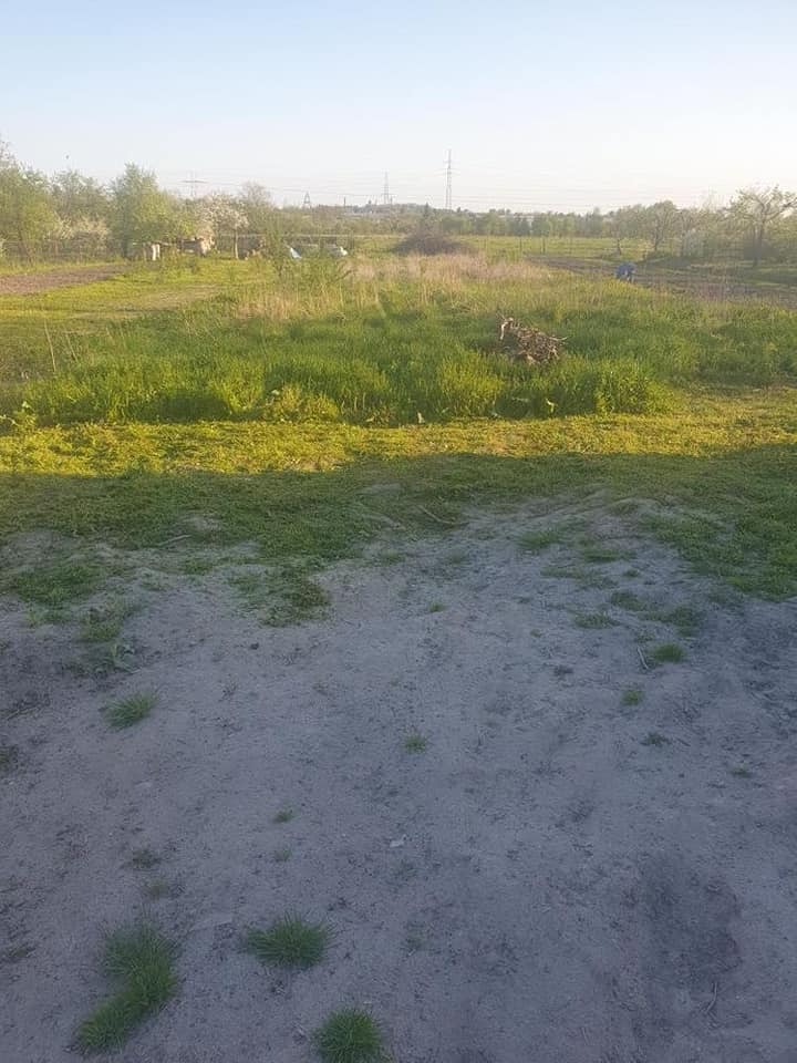 Rozległy teren z nierówną, piaszczystą powierzchnią na pierwszym planie, przechodzący w łąkę z wysoką trawą i kępami zarośli, w tle drzewa i słupy wysokiego napięcia pod jasnym niebem.