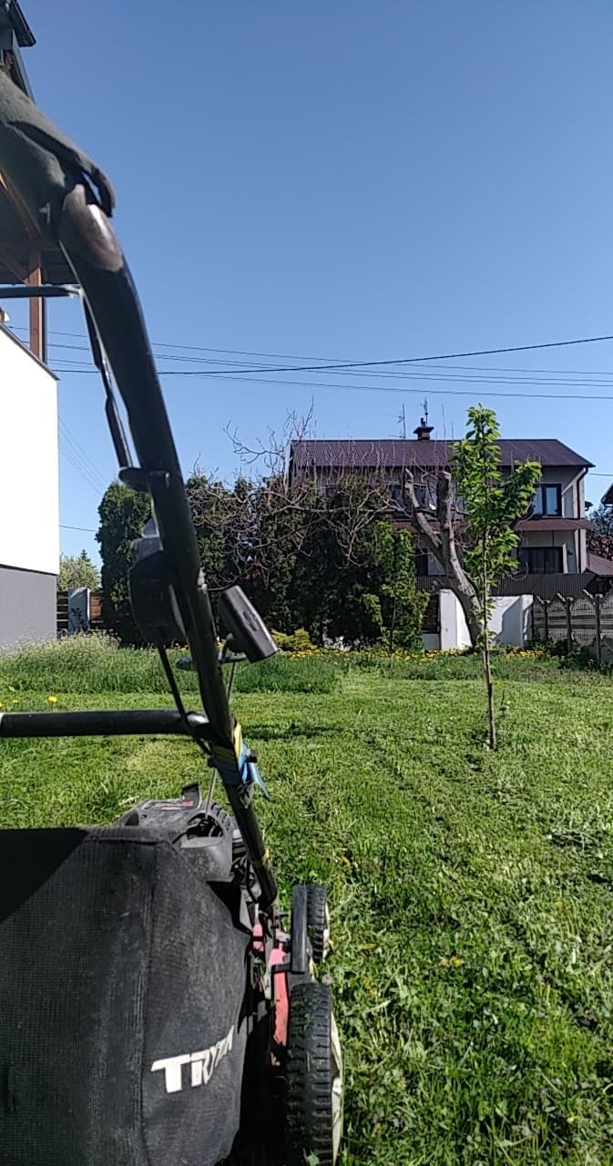 Kosiarka do trawy z czarnym koszem i czerwonymi elementami na tle zielonego trawnika, domu i błękitnego nieba w słoneczny dzień.