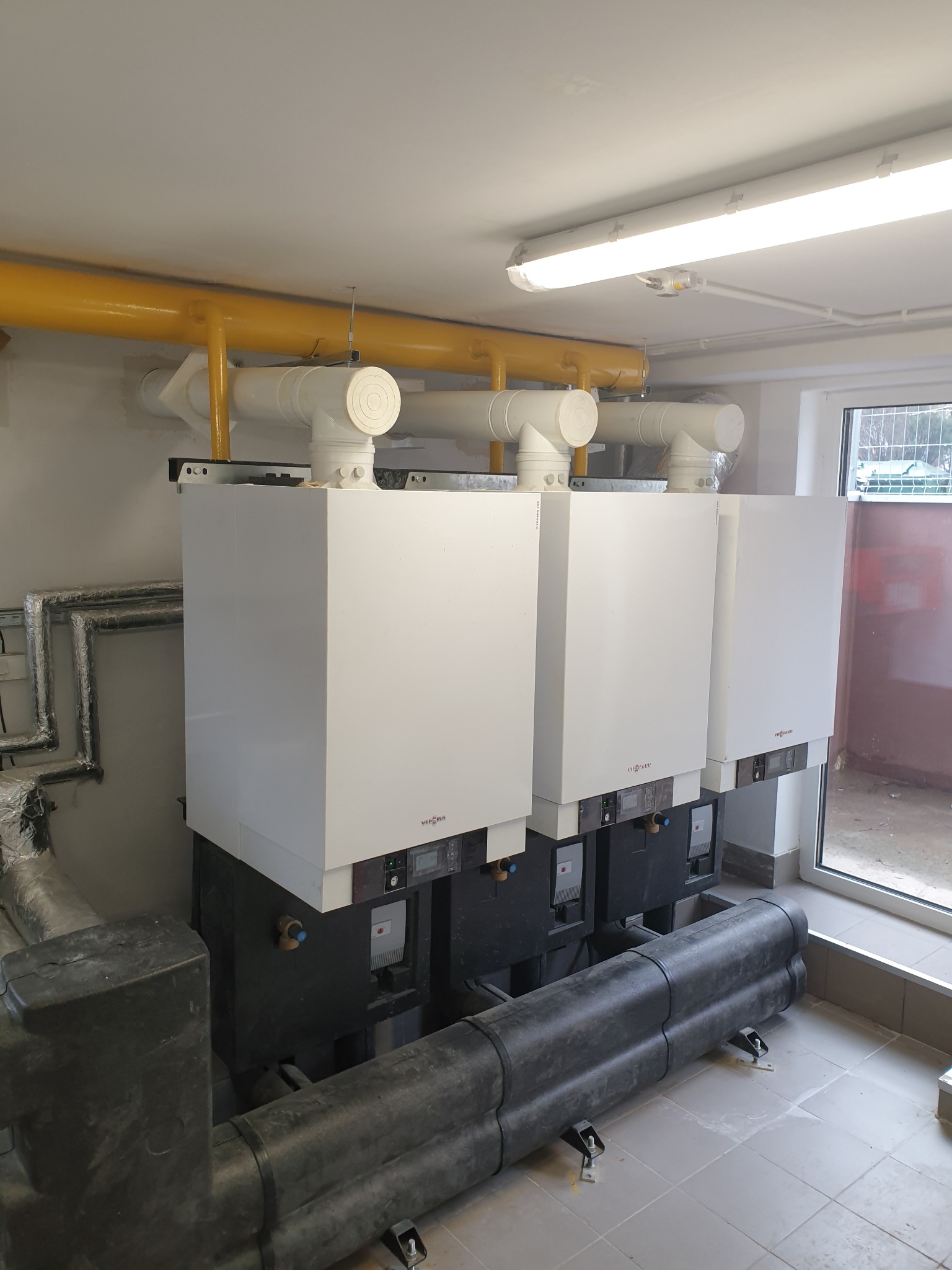 Trzy białe kotły grzewcze Viessmann z podłączeniami rur, widoczne żółte rury gazowe pod sufitem, instalacja w pomieszczeniu z oknem.