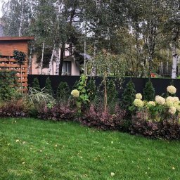 Trawa z rolki Ostrów Wielkopolski 2