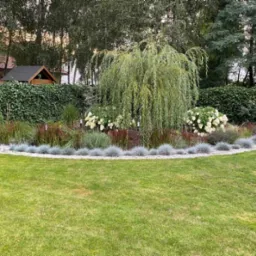 Starannie zaprojektowany ogr&oacute;d z płaczącą wierzbą, kwitnącymi hortensjami i ozdobnymi trawami, oddzielony od trawnika białym żwirem, na tle żywopłotu i drzew.