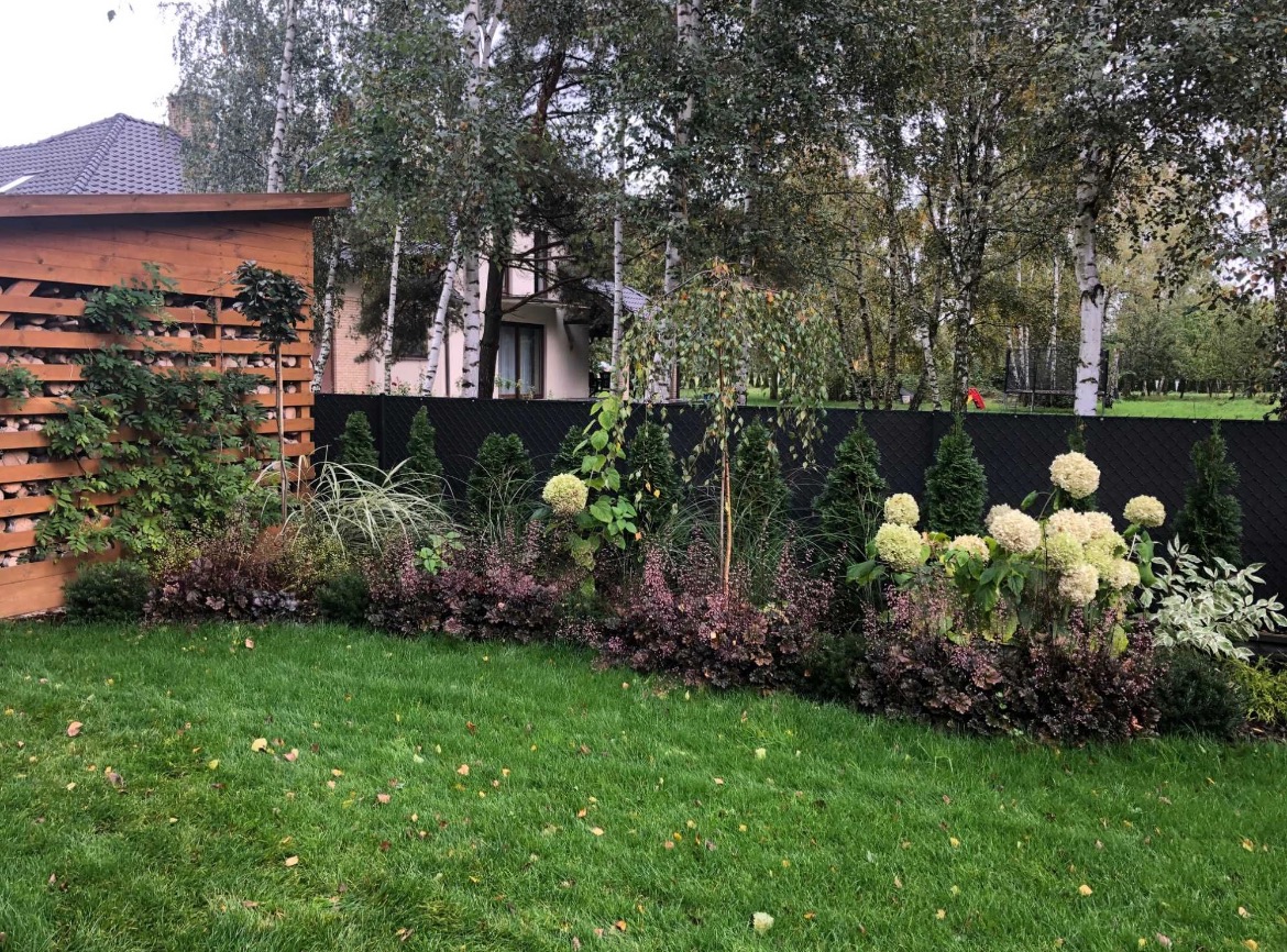 Uporządkowany ogród z hydrangeami, ozdobnymi trawami i niskimi krzewami na tle czarnego ogrodzenia i drzew brzozowych, z drewnianą konstrukcją w tle, jesienne liście na trawniku.