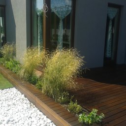 Tarasy drewniane Kraków 1