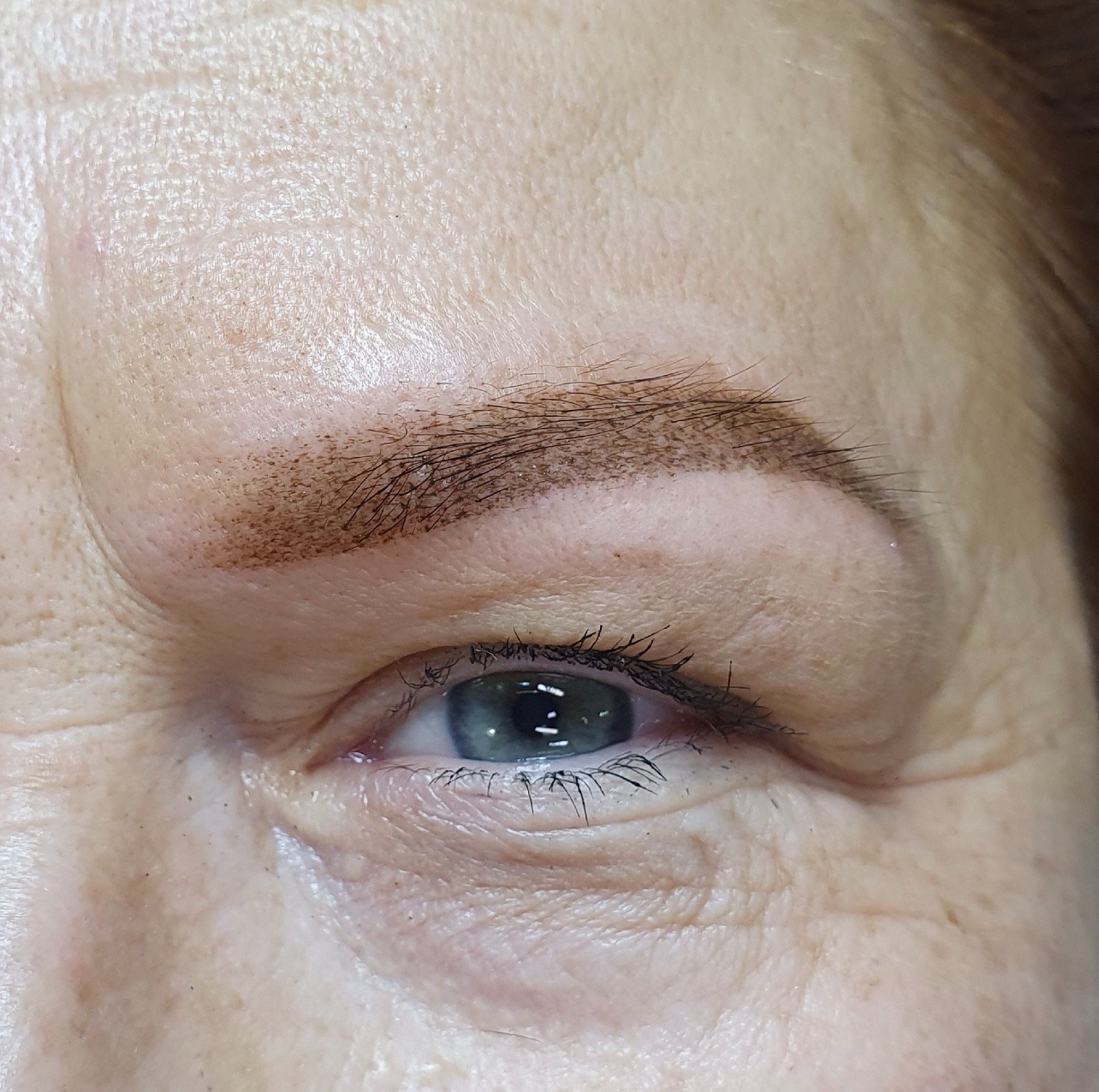 Zbliżenie na oko kobiety po zabiegu pigmentacji brwi metodą pudrową, widoczne delikatne przejście koloru i naturalny wygląd włosków.