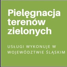 Mikołaj Grela Pielęgnacja Zieleni ,,Zielony Kąt" - Strzyżenie Traw Sosnowiec