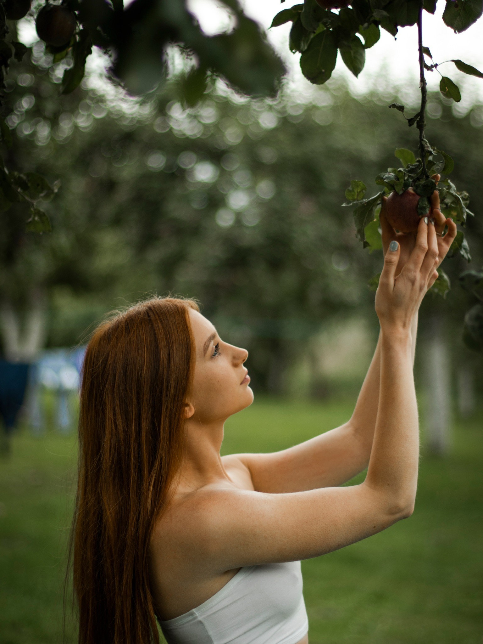 Kobieta z rudymi włosami sięga po jabłko na drzewie w sadzie, widok z dołu, naturalne światło.