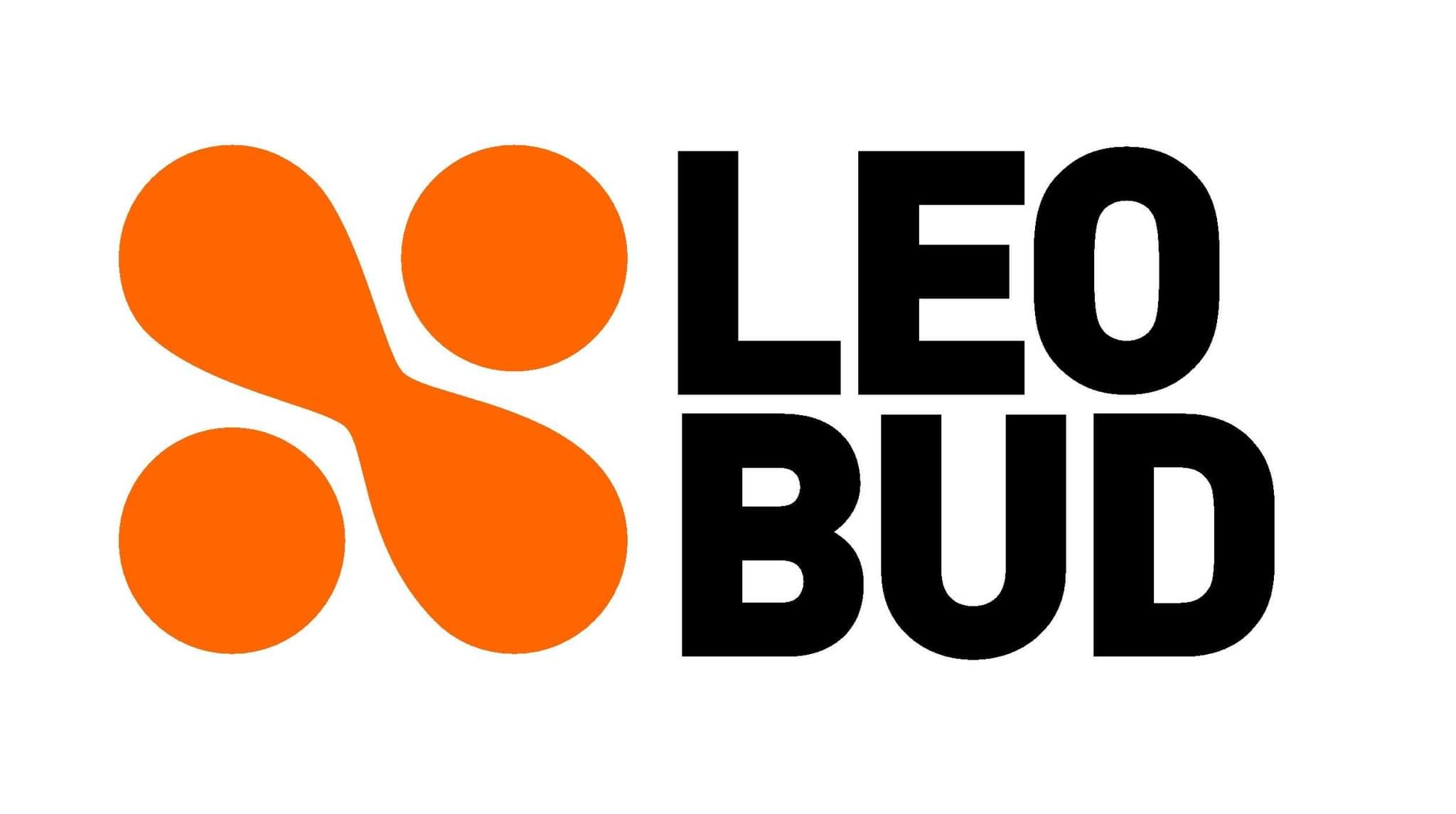 Logo firmy budowlanej LEO BUD z abstrakcyjnym pomarańczowym symbolem po lewej stronie i czarnym napisem po prawej na białym tle.