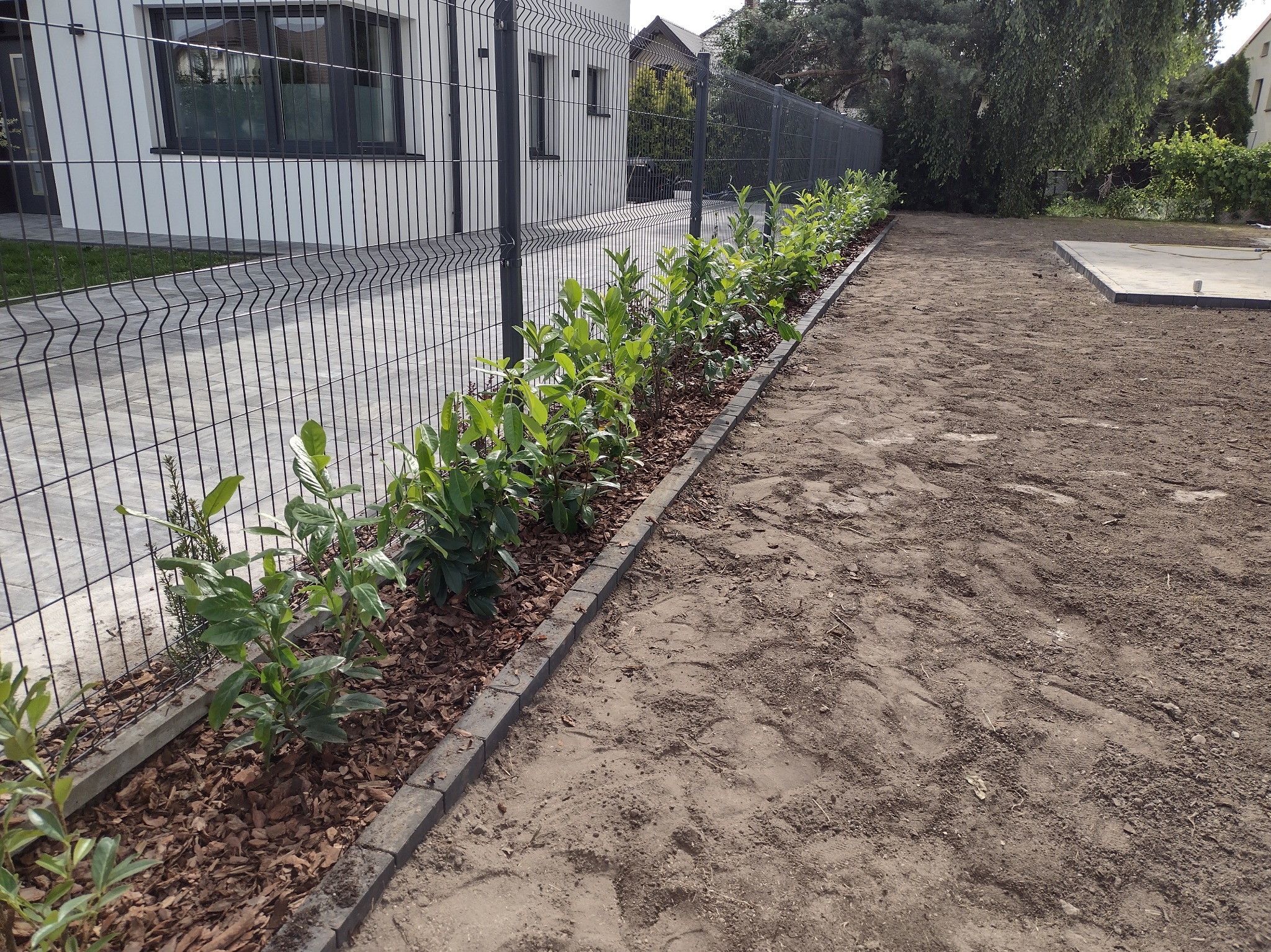 Świeżo posadzone krzewy wzdłuż nowego, panelowego ogrodzenia, wyściółkowane korą, z obrzeżem z kostki betonowej, na przygotowanym podłożu.