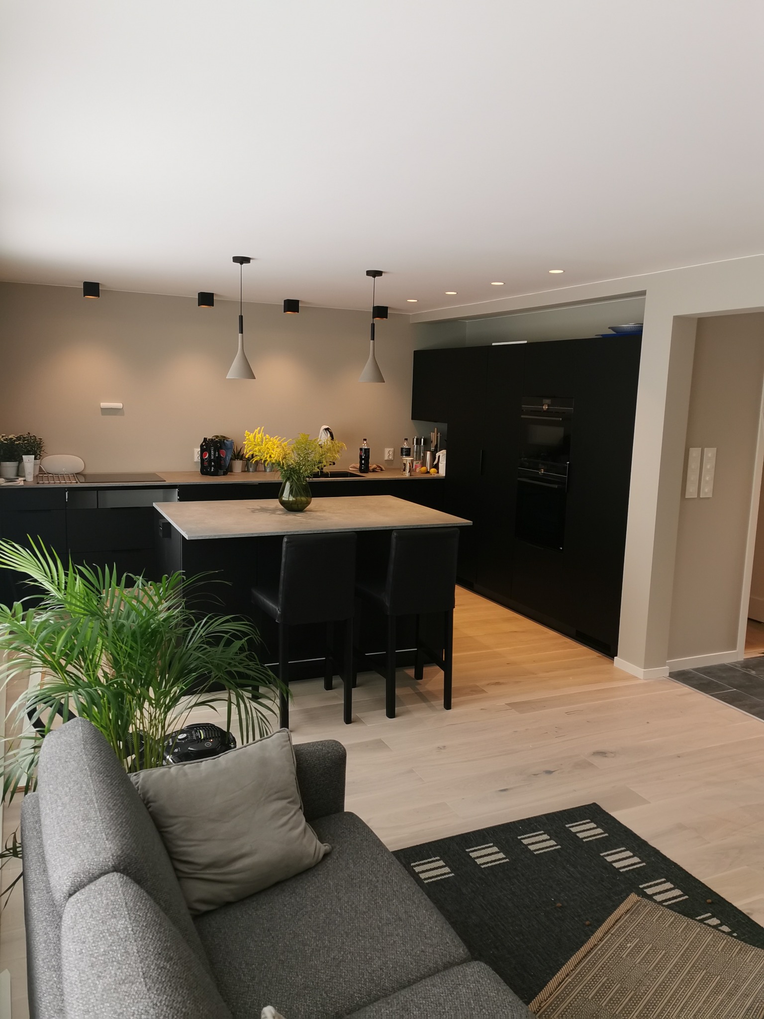 Nowoczesna kuchnia z czarnymi szafkami i wyspą z szarym blatem, widok z salonu z szarą sofą i zieloną rośliną doniczkową.