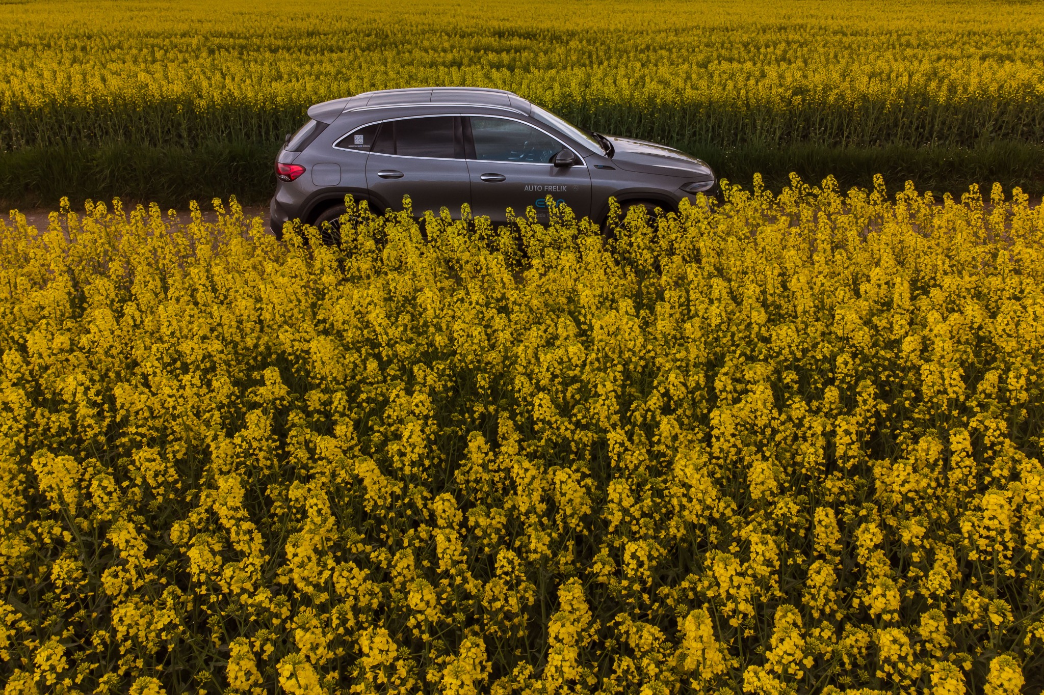Szary SUV zaparkowany na polnej drodze, otoczony kwitnącym na żółto polem rzepaku, widok z góry.