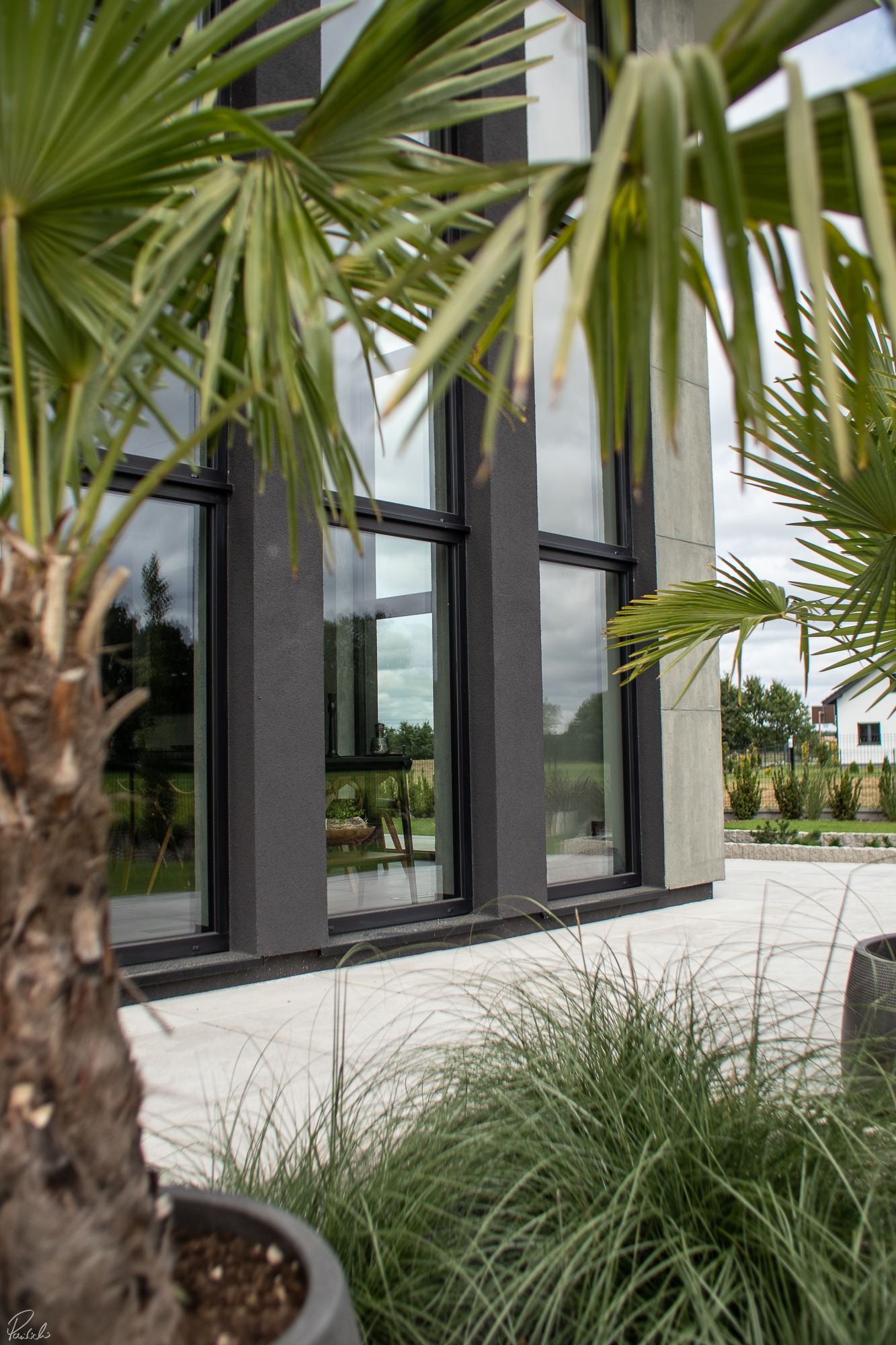 Nowoczesny dom z dużymi oknami, widok z zewnątrz, z palmami w donicach i ozdobną trawą na pierwszym planie, betonowy chodnik.