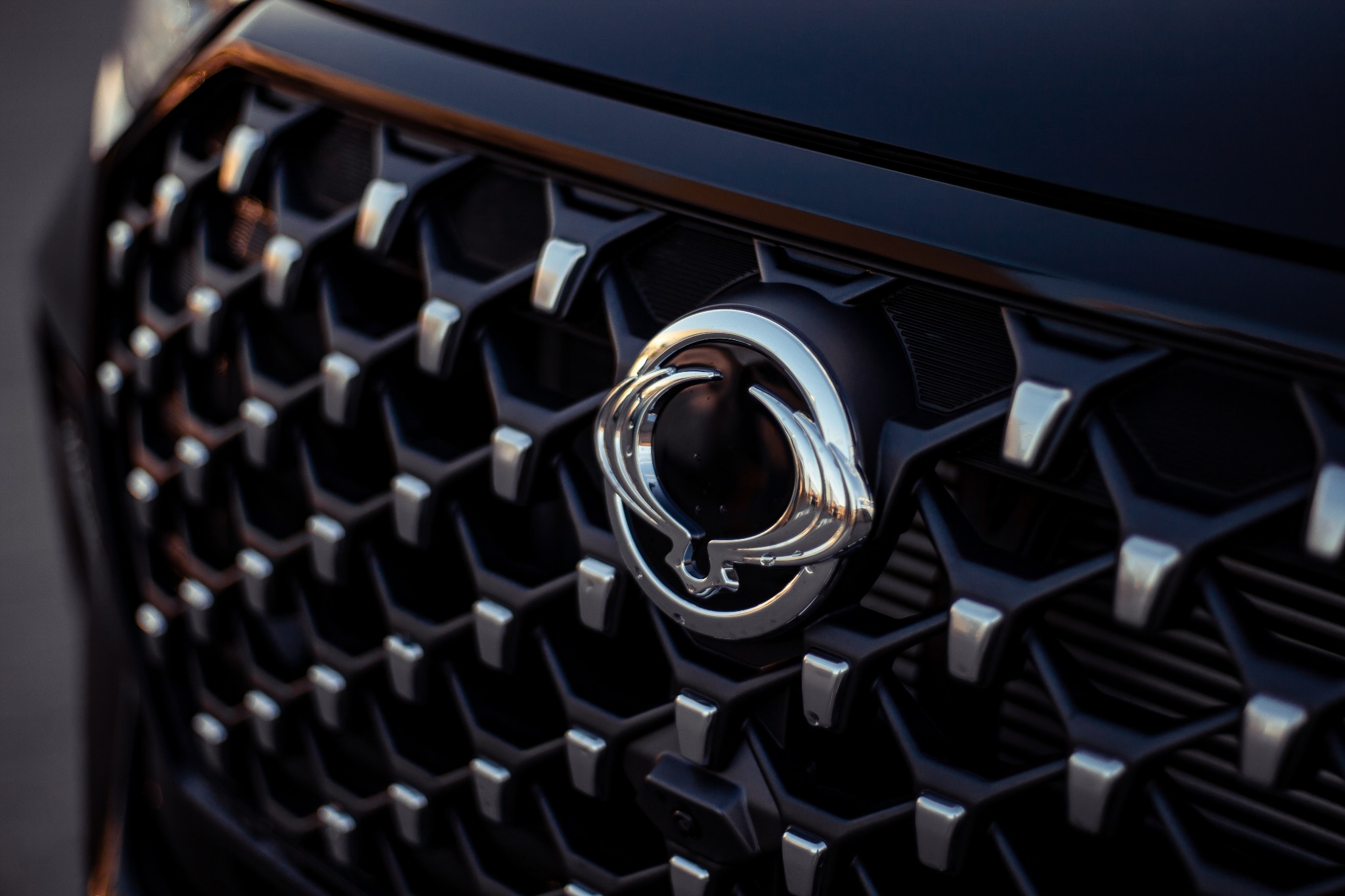 Chromowane logo marki SsangYong umieszczone na czarnej, heksagonalnej siatce grilla samochodu, widoczne z bliska.