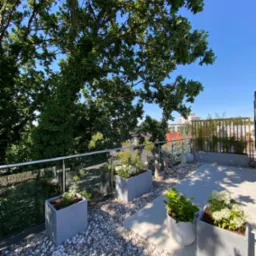 Nowoczesny taras na dachu z szarymi płytkami, białymi kamykami, roślinami w donicach, szklaną balustradą i widokiem na zieleń drzew oraz budynki w tle.