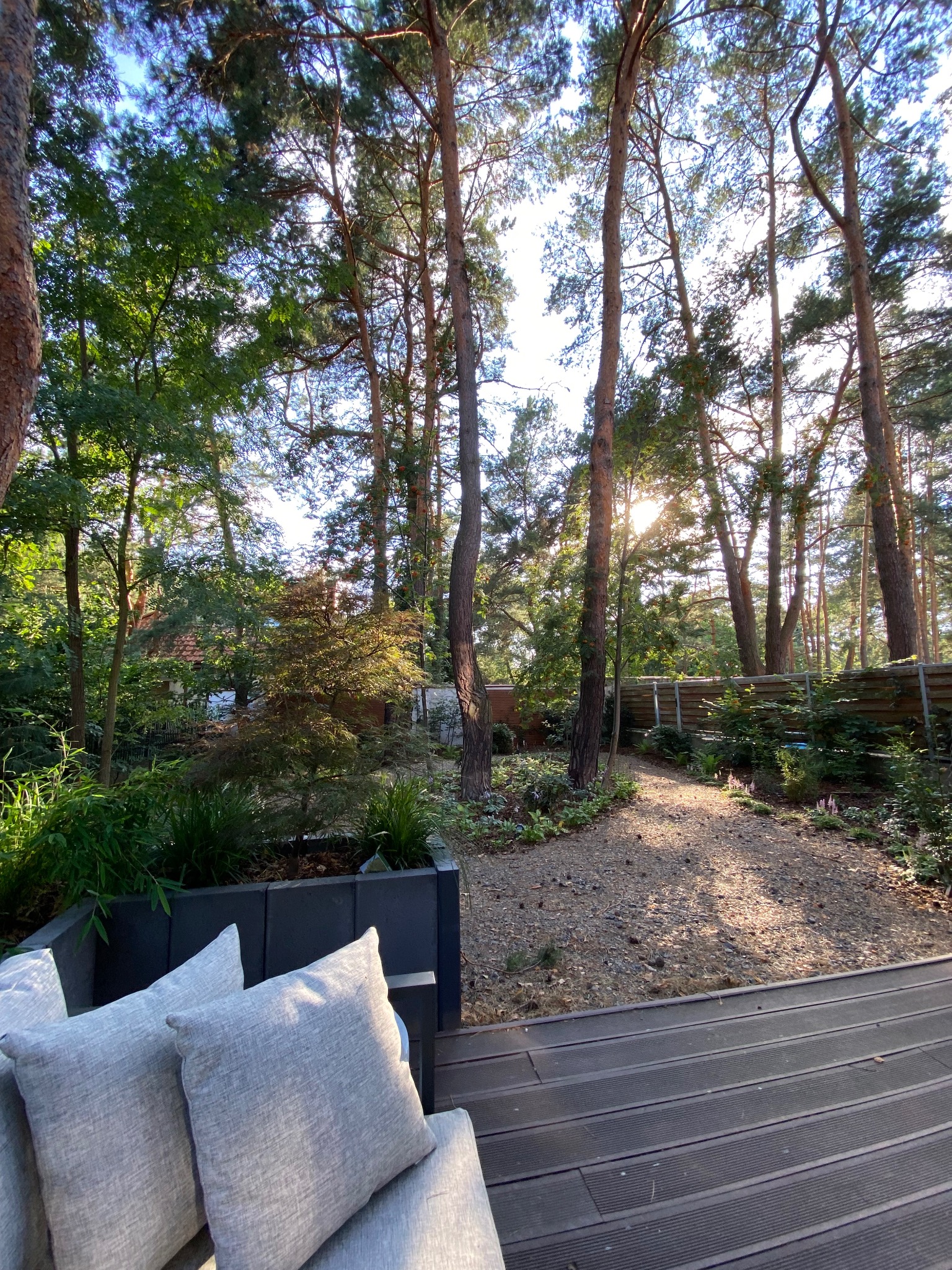 Kompozycja ogrodu z tarasem z desek kompozytowych, ścieżką żwirową i nasadzeniami drzew iglastych, widok z perspektywy tarasu.