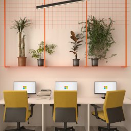 Materia design studio - Wizualizacja biura z trzema stanowiskami pracy, żółtymi krzesłami i roślinami doniczkowymi na półce z pomarańczową kratką na ścianie.