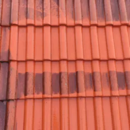 Częściowo umyta, mokra, pomarańczowa dachówka ceramiczna, widoczne różnice w kolorze spowodowane czyszczeniem.