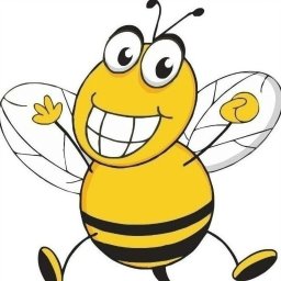 Bee Clean Pranie Profesjonalne Marcin Kowalewski - Opróżnianie Domów Tomaszów Mazowiecki