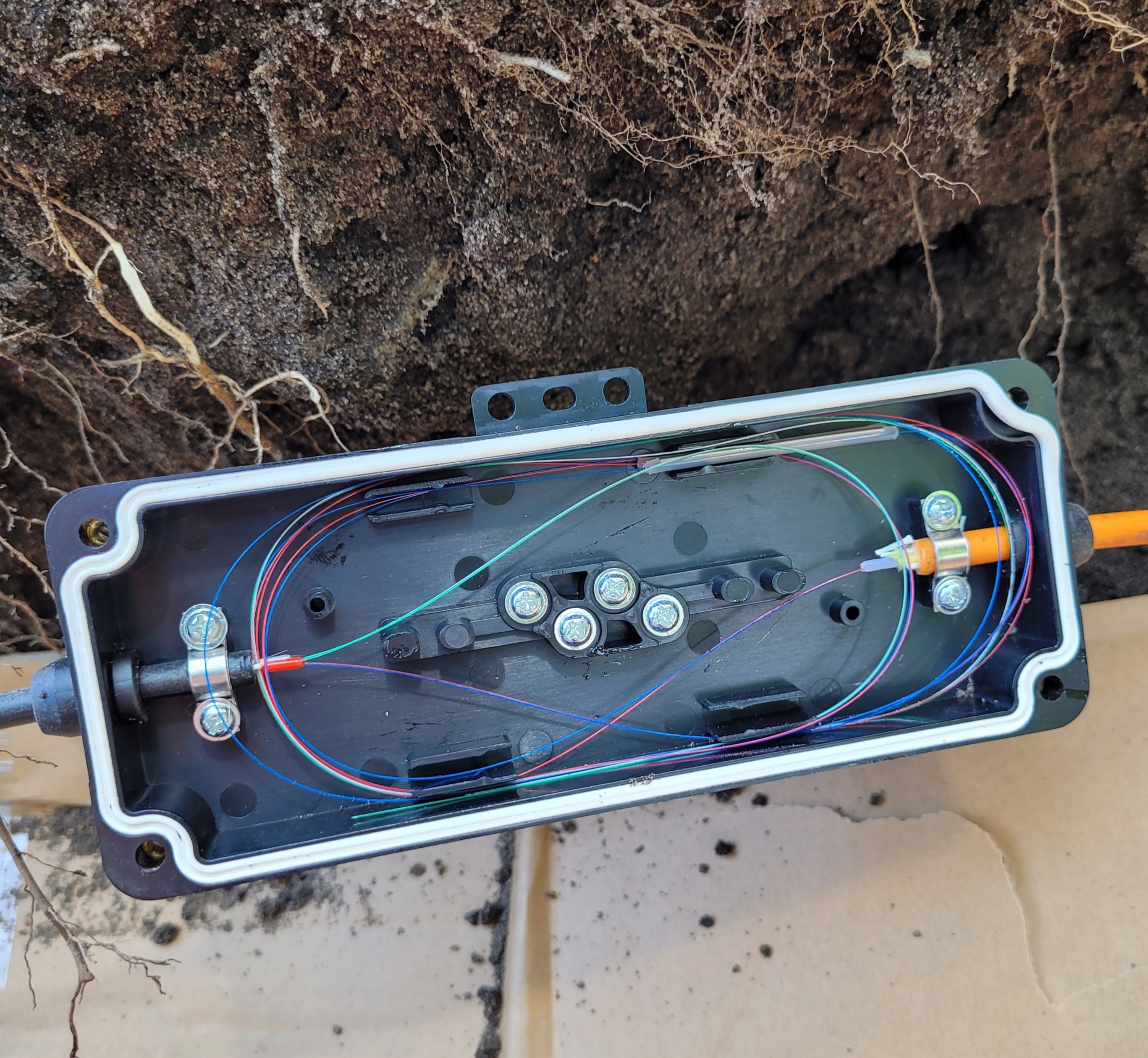 Otwarta czarna skrzynka telekomunikacyjna z widocznymi światłowodami w kolorach: niebieskim, czerwonym, zielonym i pomarańczowym, umieszczona w wykopie ziemnym z widocznymi korzeniami.