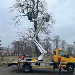 PITRANS wynajem podnośników koszowych, zwyżka Zielona Góra - Znakomita Praca Na Wysokości Zielona Góra