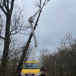 Podnośnik koszowy Zielona Góra 3