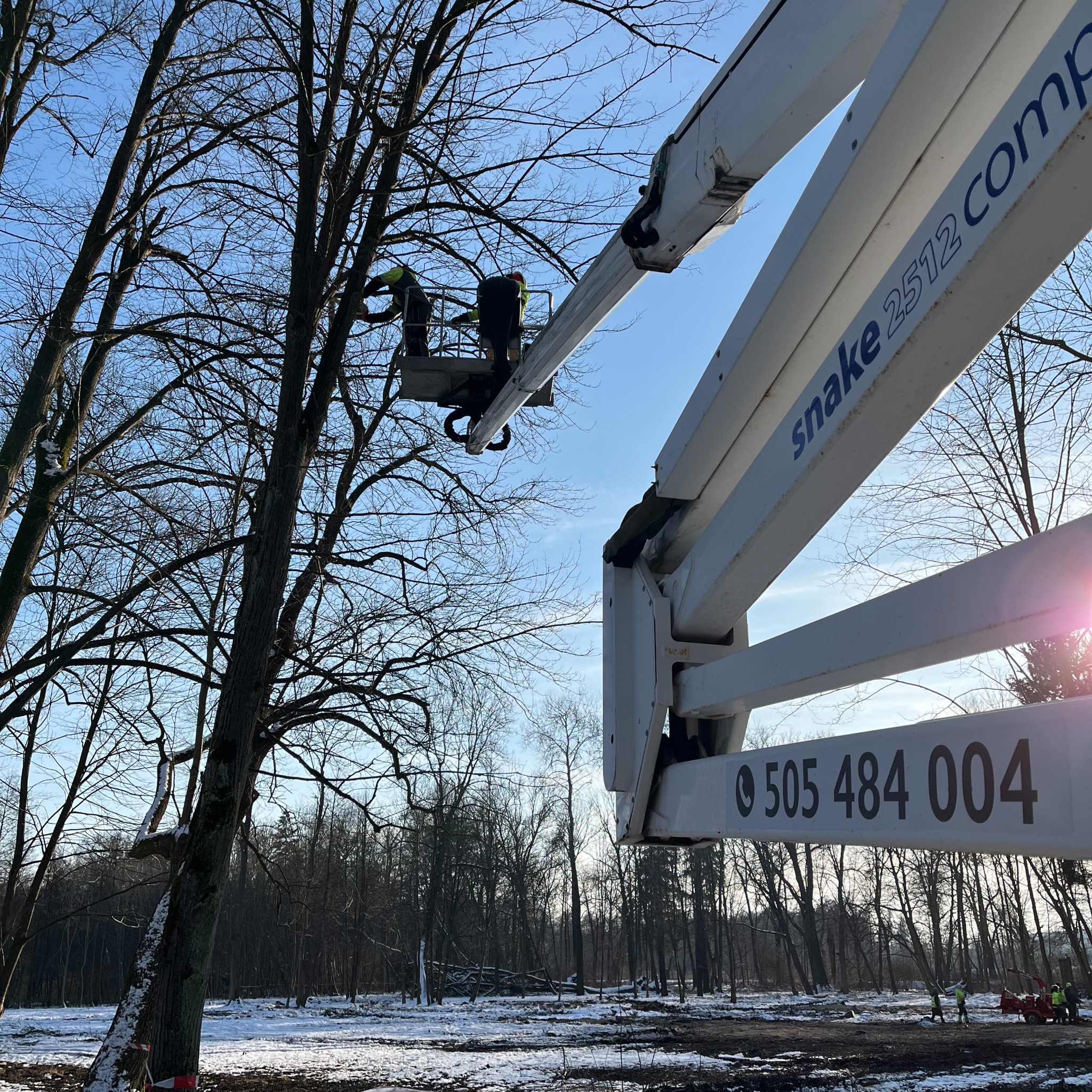 Pracownicy w koszu podnośnika teleskopowego, przycinający gałęzie drzewa na tle zimowego krajobrazu z resztkami śniegu na ziemi, widoczny numer telefonu na ramieniu podnośnika.