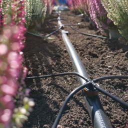 HA-DWA-O Gniezno Sp. z o. o. - System nawadniania doniczek- mamy wszystkie komponenty