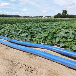 Kolejna nasza instalacja- system nawadniania kropelkowego