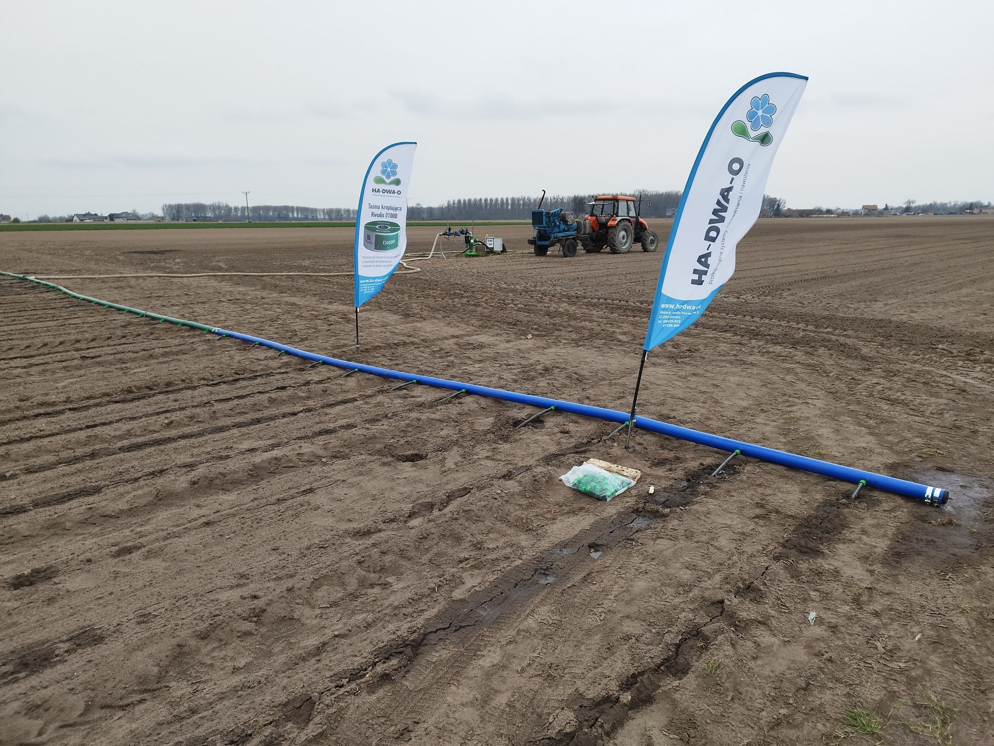 Taśmy kroplujące- zmontowaliśmy cały system nawadniania kropelkowego