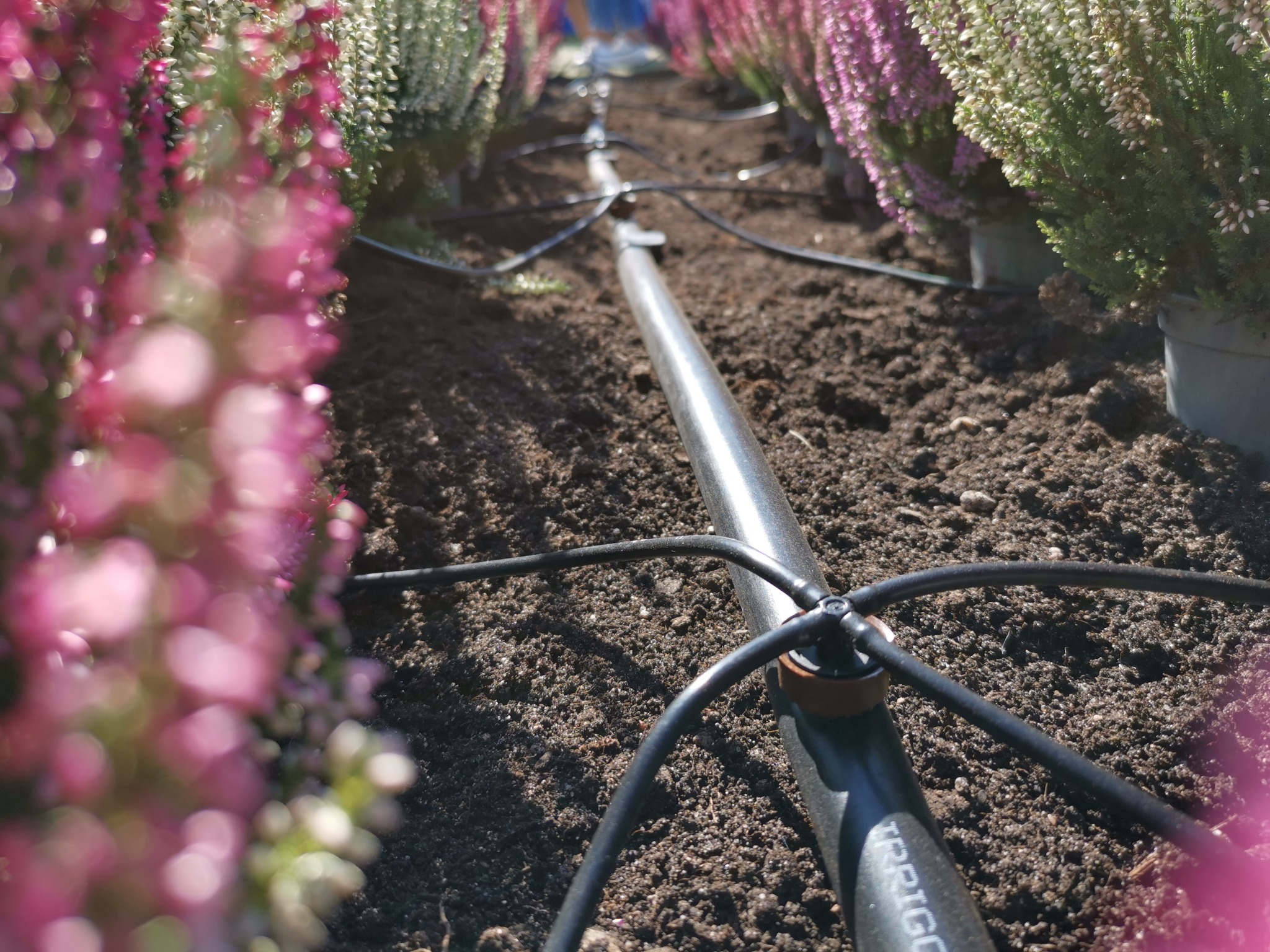 System nawadniania doniczek- mamy wszystkie komponenty