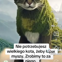 Dezynsekcja i deratyzacja Warszawa 1