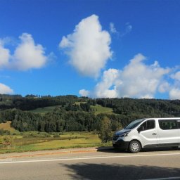 Zalvis PRZEWOZY DO NIEMIEC, BELGII, HOLANDII, SZWAJACARII - Busy-Z-ADRESU-POD-ADRES-do-Niemiec-Holandii-Szwajcarii-Belgii