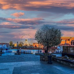 Studio Retuszu - Panorama Gdańska o zmierzchu: diabelski młyn, Motława, budynki filharmonii, drzewo kwitnące, różowe chmury na niebie.