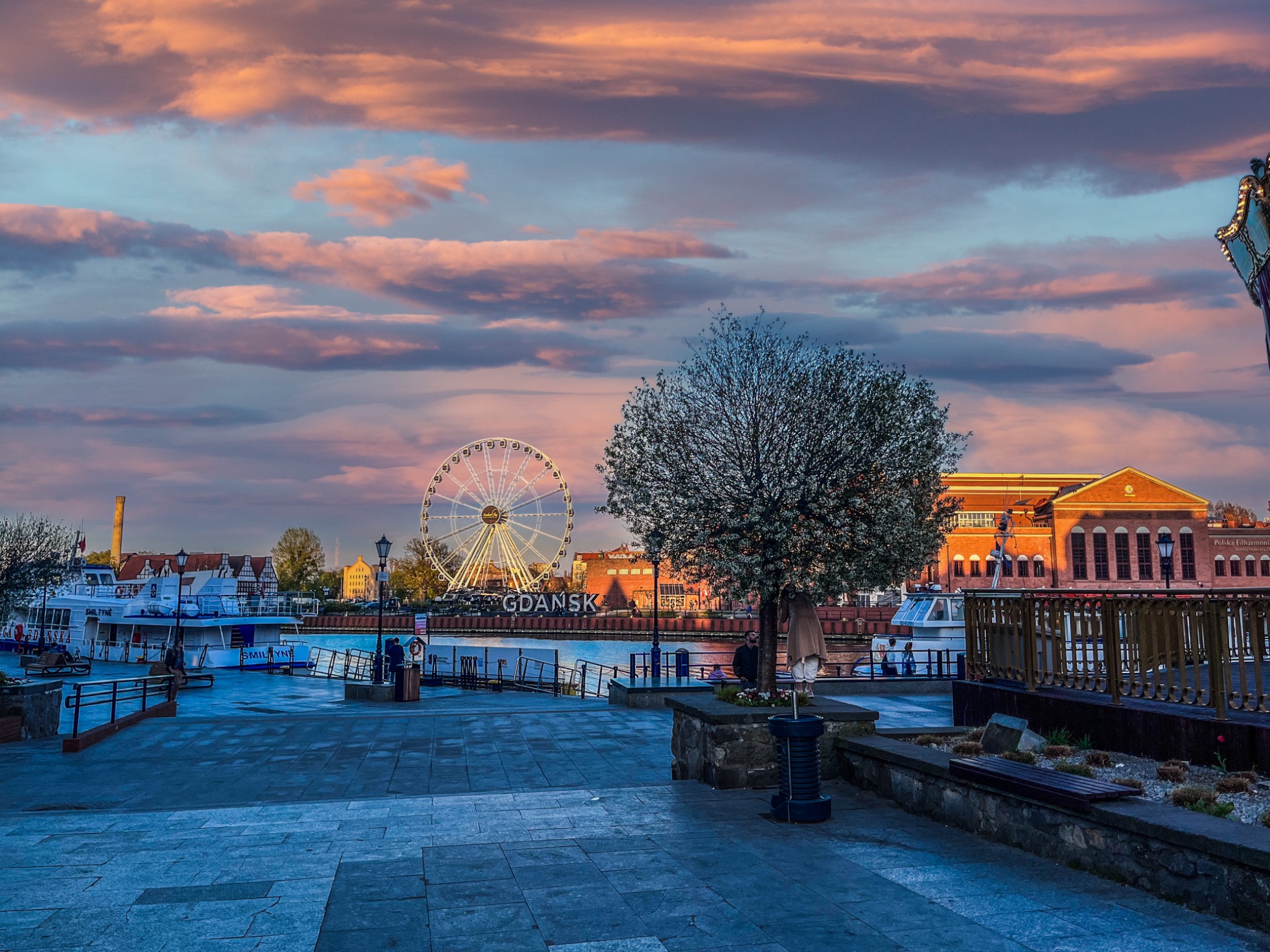 Panorama Gdańska o zmierzchu: diabelski młyn, Motława, budynki filharmonii, drzewo kwitnące, różowe chmury na niebie.