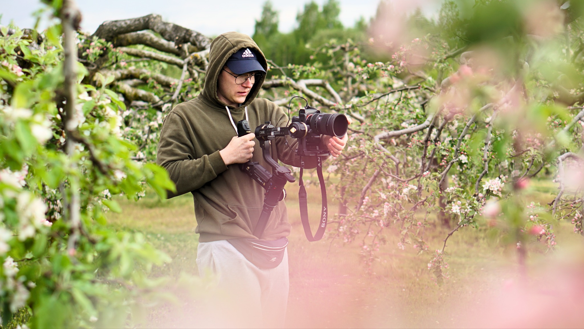 Młody mężczyzna w bluzie z kapturem i czapce z daszkiem obsługuje profesjonalną kamerę na stabilizatorze w sadzie kwitnących jabłoni.