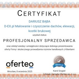 Malowanie dachów Szczecin