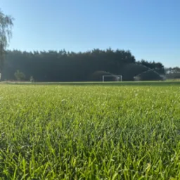 Intensywnie zielona trawa na boisku, w tle widoczne zraszacze w akcji i brama, całość skąpana w porannym słońcu.