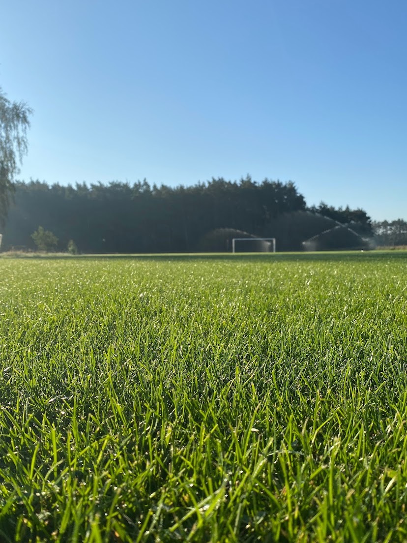 Intensywnie zielona trawa na boisku, w tle widoczne zraszacze w akcji i brama, całość skąpana w porannym słońcu.