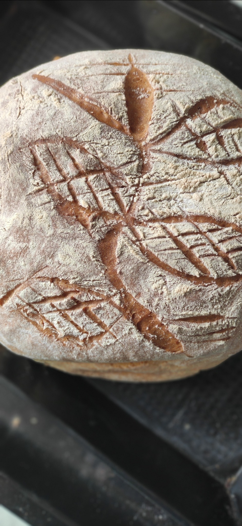 Domowy chleb na zakwasie z dekoracyjnym nacięciem w kształcie liścia, posypany mąką, leżący na blasze do pieczenia.