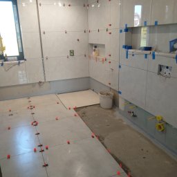 Glazurnik Szarlejka 4