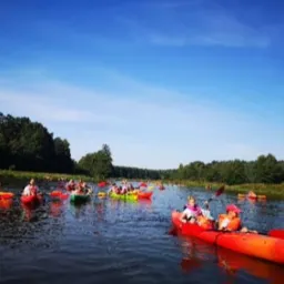 Grupa osób płynąca kajakami po rzece podczas imprezy integracyjnej, widoczne lasy na brzegach i błękitne niebo.