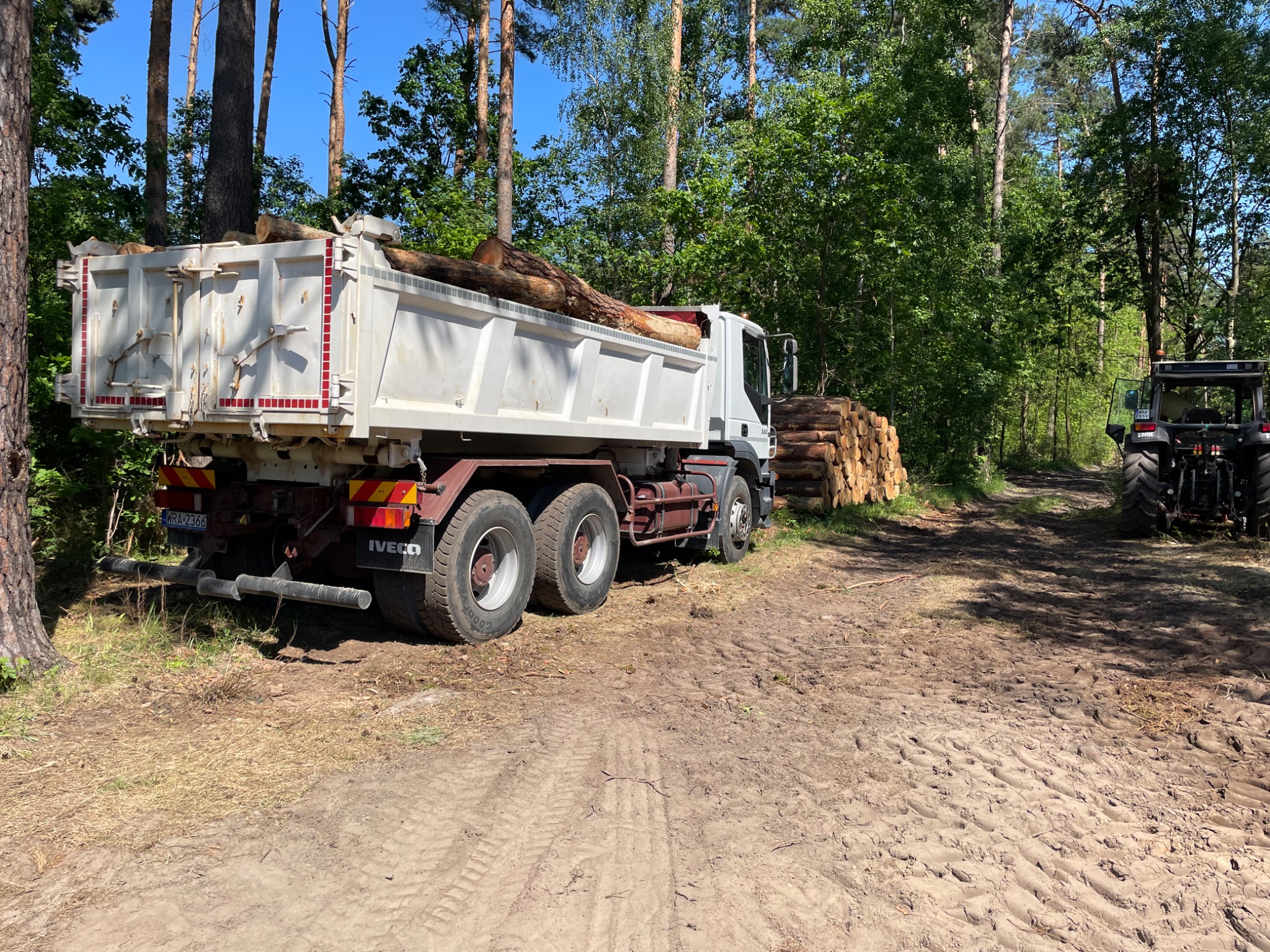 Ciężarówka Iveco z ładunkiem drewna w lesie, obok stoi traktor, widoczne ślady opon na piaszczystej drodze.