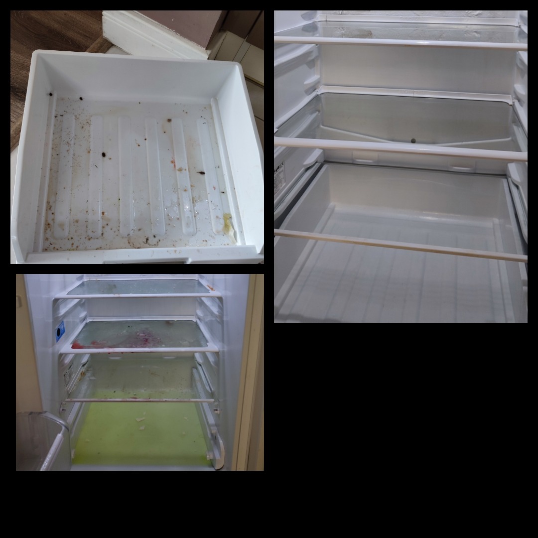 Brudna lodówka przed czyszczeniem: widoczne resztki jedzenia na półkach i w szufladzie, zielonkawy płyn na dnie, wnętrze wymaga gruntownego wysprzątania.