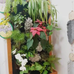 Pionowa ściana z różnorodnych roślin doniczkowych w drewnianej ramie, z poinsecją, storczykami i bluszczem, wisząca obok dekoracji ściennej z szarego sznurka.
