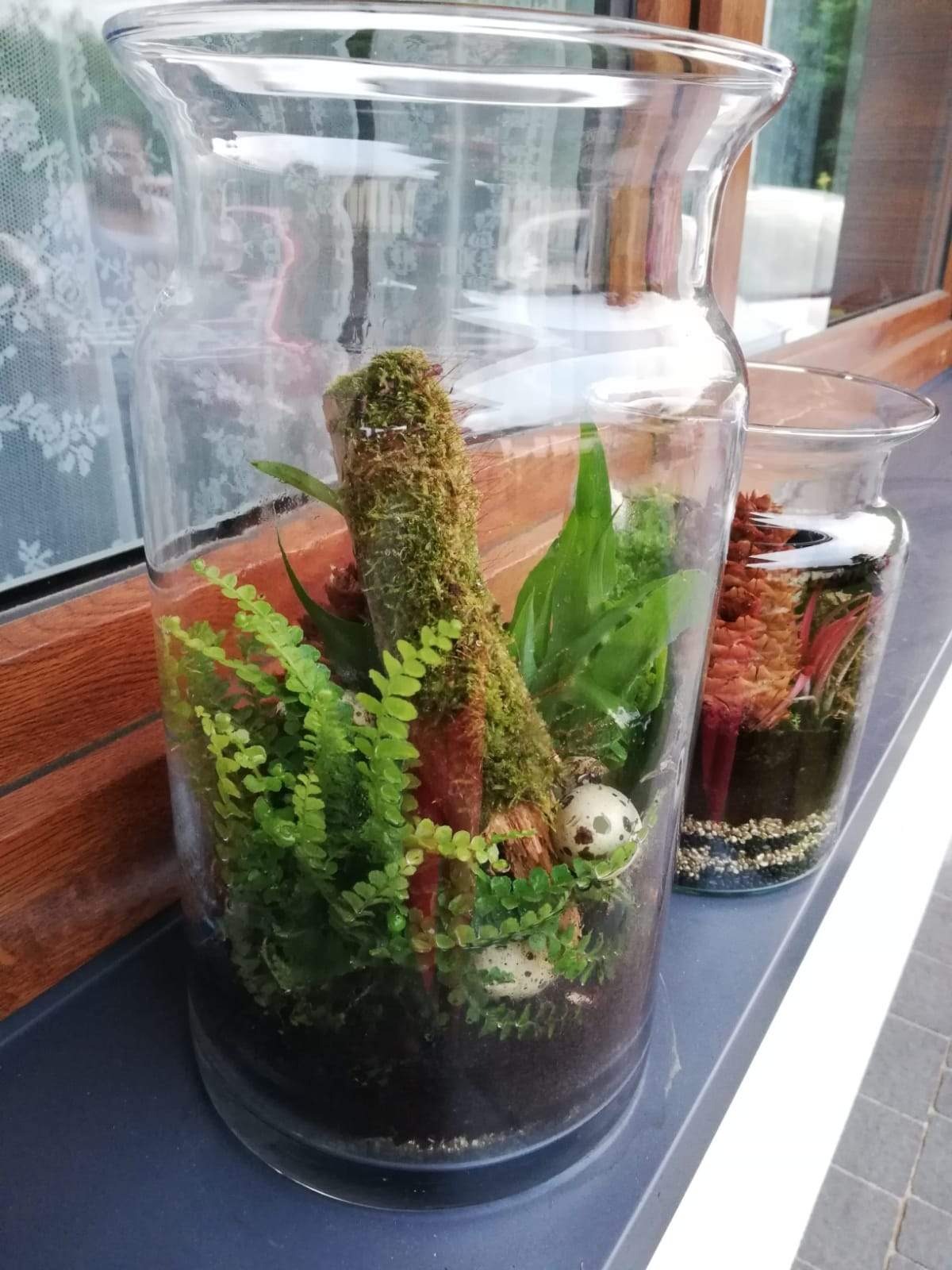 Dwa szklane naczynia z kompozycjami roślinnymi: większy słój z paprocią, mchem, korą i dekoracyjnymi jajkami przepiórczymi, mniejszy z sukulentami i drobnym żwirem, ustawione na parapecie okna.