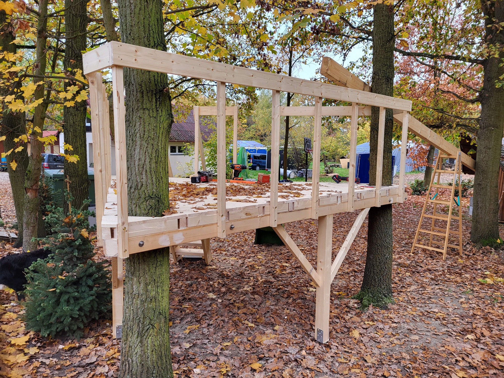Konstrukcja drewnianego domku na drzewie w trakcie budowy, z widocznymi narzędziami i drabinką, otoczona jesiennymi liśćmi.