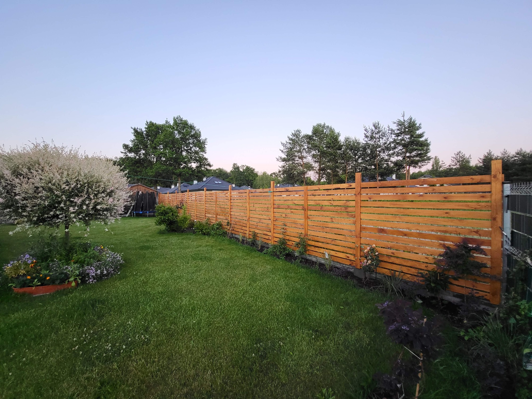 Nowoczesne ogrodzenie z poziomych desek w kolorze jasnego drewna, oddzielające zadbany trawnik z kwitnącym drzewem od sąsiedniej posesji, widoczne domy z ciemnymi dachami w tle, spokojna sceneria...