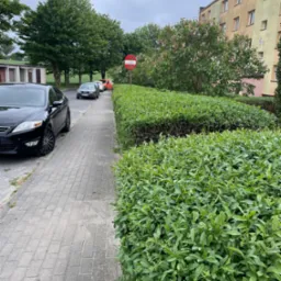 Równiutko przycięty żywopłot oddzielający chodnik od jezdni, z zaparkowanymi samochodami w tle, znak zakazu wjazdu widoczny na żywopłocie.