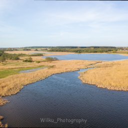 Sesja ciążowa Zgierz 2