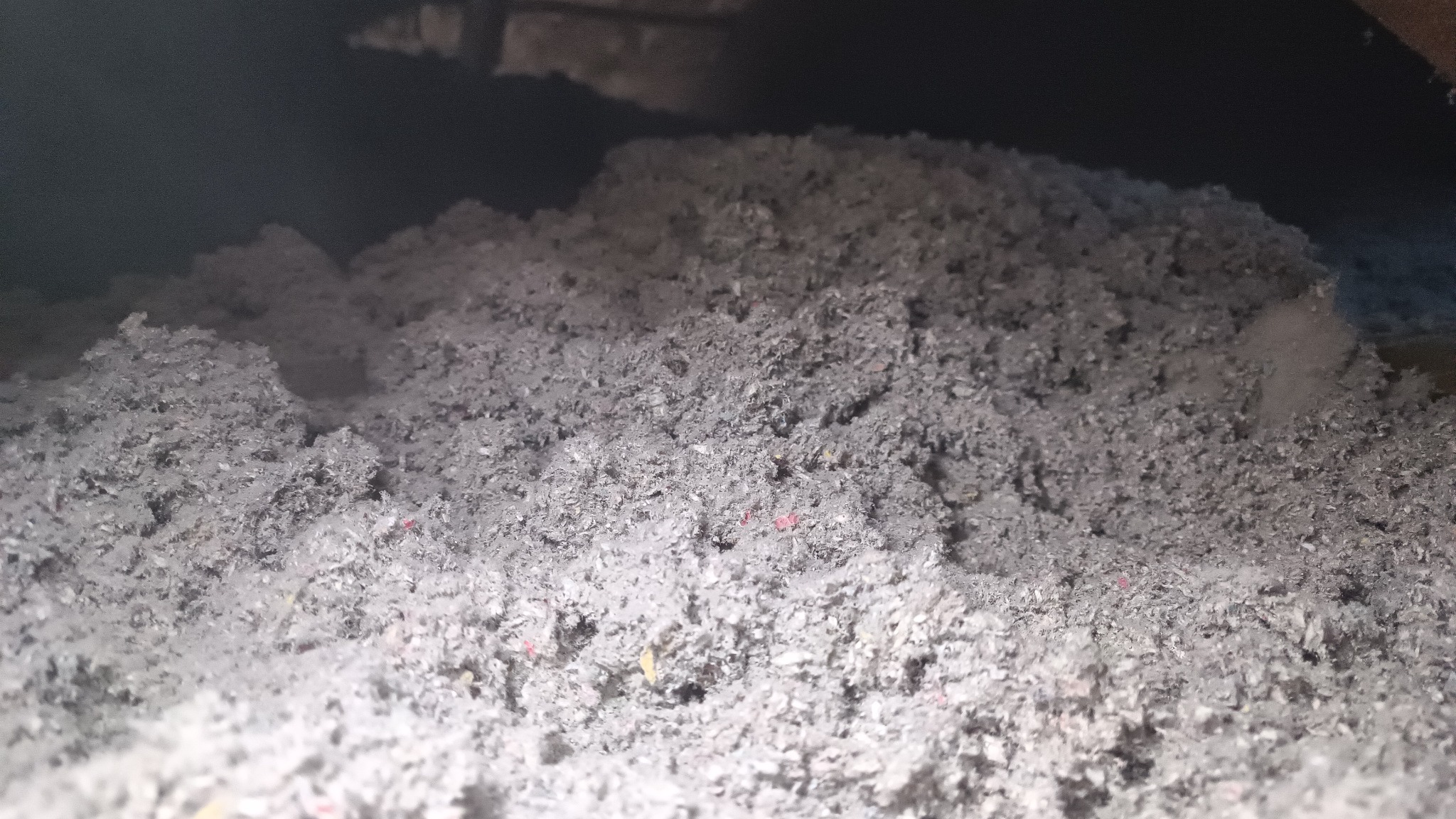 Szary materiał izolacyjny, prawdopodobnie celuloza, wypełniający przestrzeń poddasza, widoczne drobne włókna i fragmenty kolorowego papieru w strukturze izolacji.