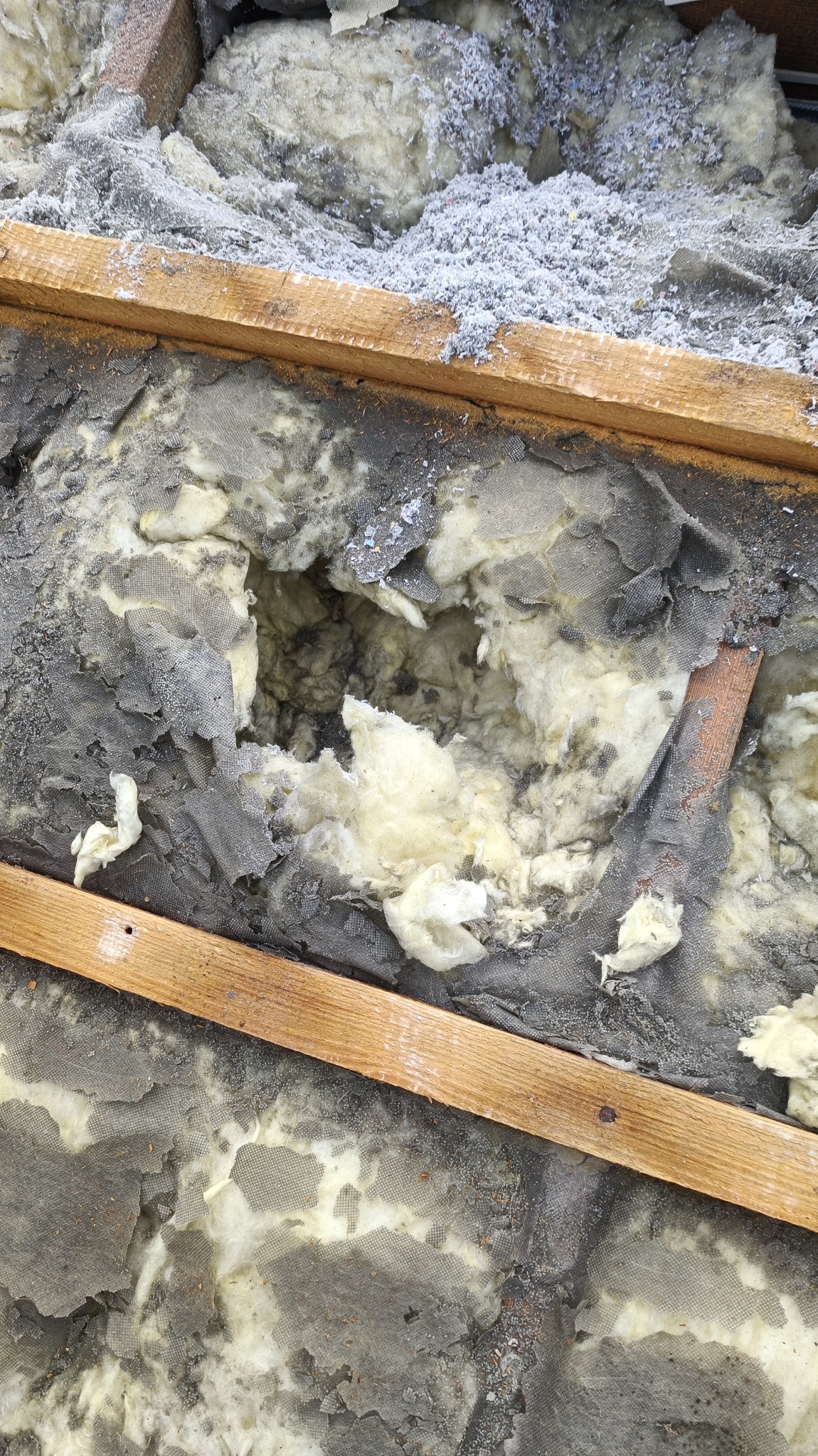 Uszkodzona izolacja poddasza z widocznymi ubytkami i fragmentami siatki podtrzymującej, otoczona drewnianą konstrukcją więźby dachowej.